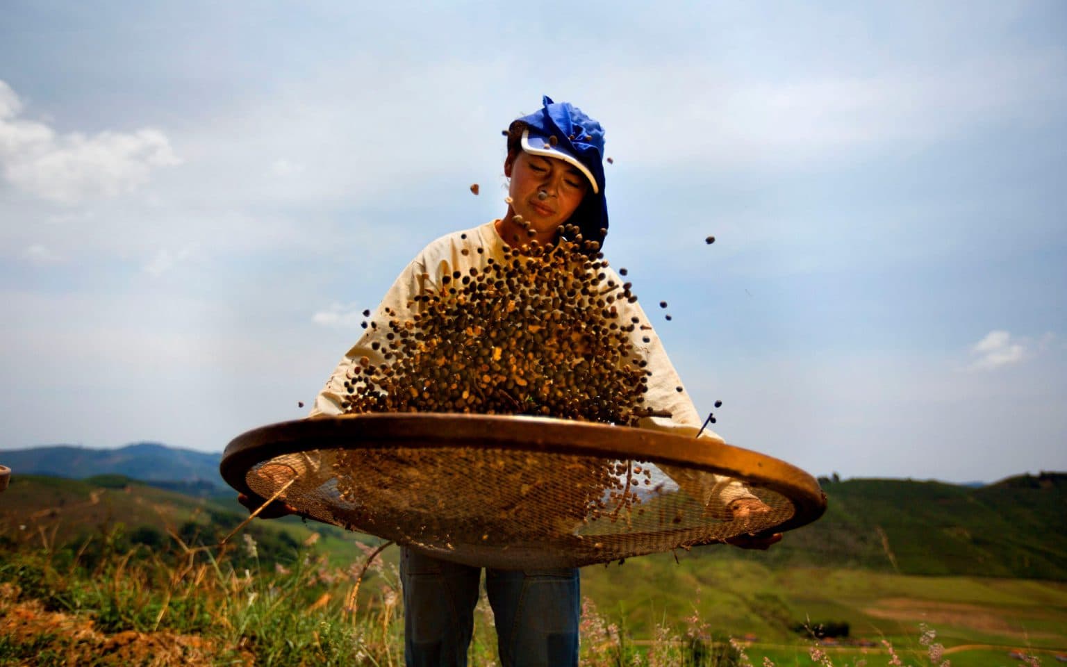 Do specialty coffee consumers actually want to be more connected to farmers?