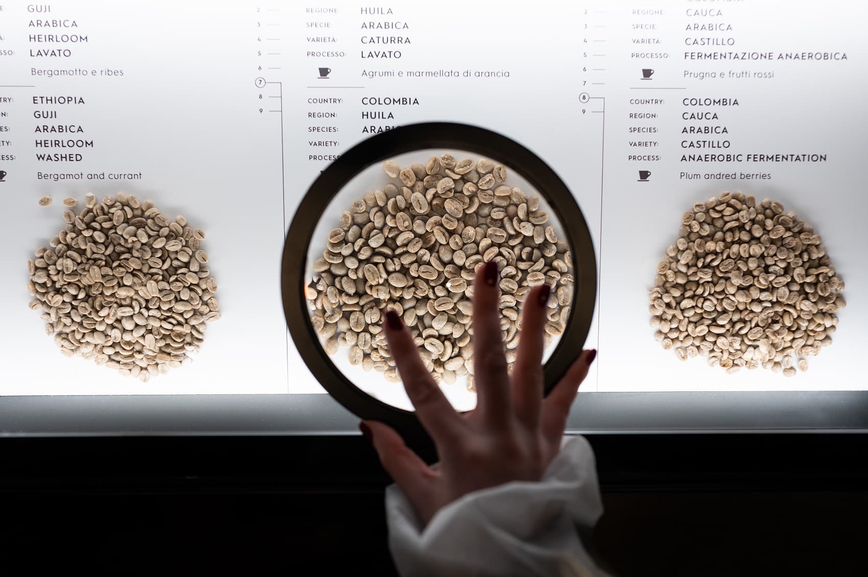 Lavazza советует стать мастером-бариста этим летом