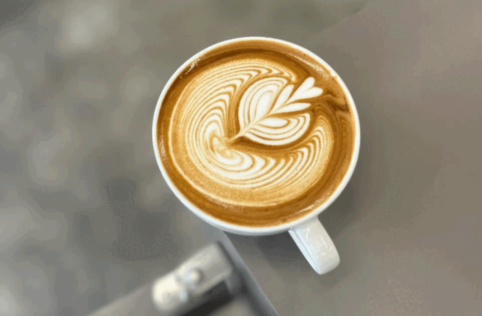 Coffee and Cognitive Health: A Stimulating Blend for Longevity in Older Adults