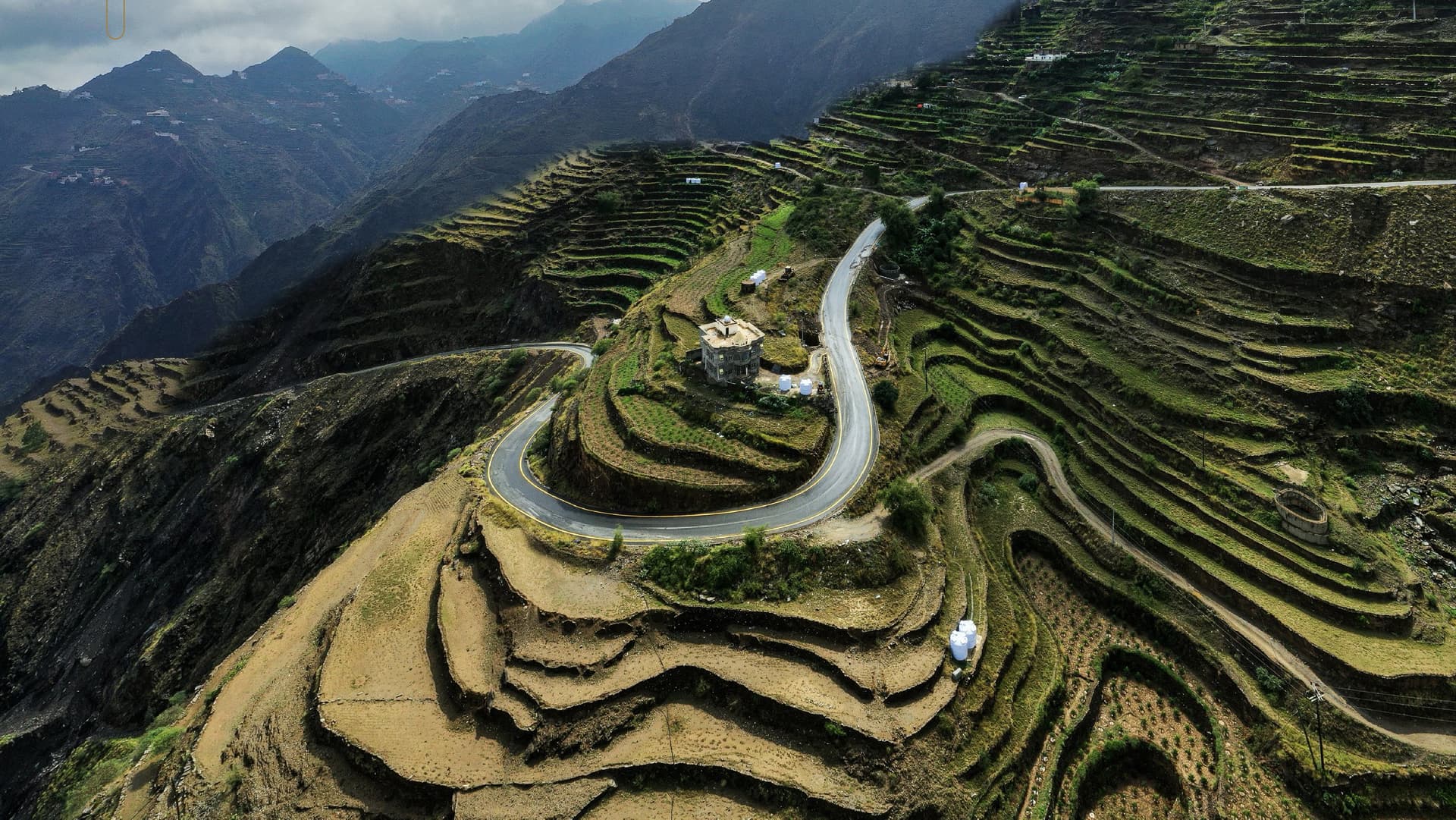 Саудовская кофейная компания празднует запуск своей первой модельной фермы в Джазане, продвигая устойчивые методы ведения сельского хозяйства