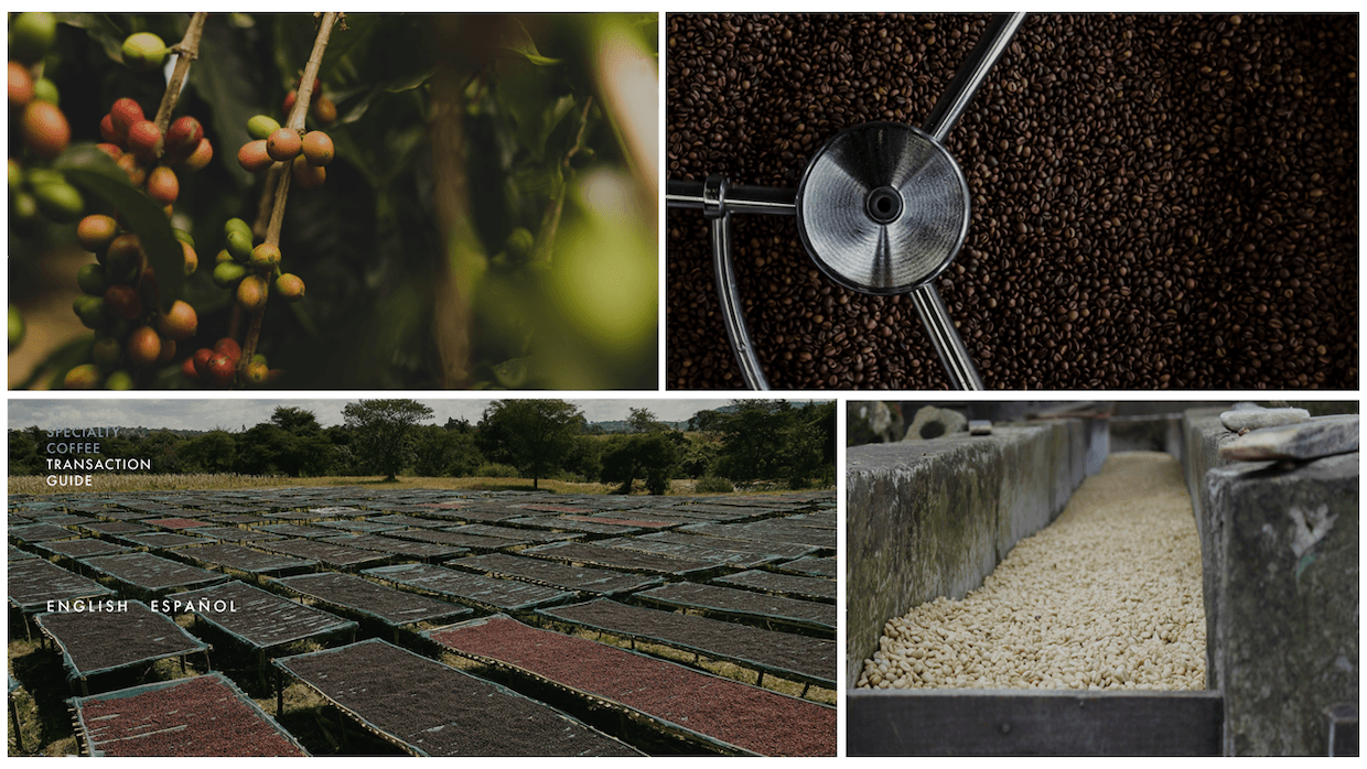 Краткий обзор Руководства по Сделкам с Специальным Кофе на 2023 год