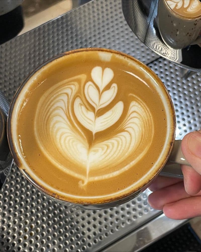 Раскрытие пользы употребления кофе перед коротким сном!