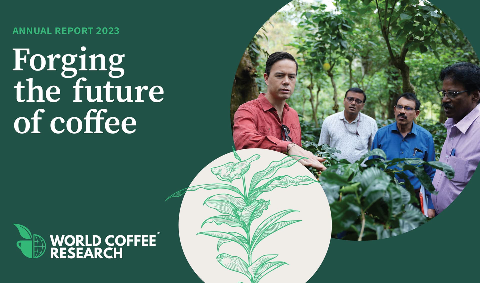 Создание устойчивого будущего: инновации и достижения в области исследований кофе за 2023 год