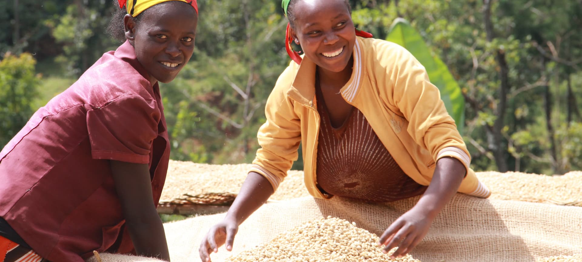 Всеобъемлющий обзор Доклада о развитии кофе (CDR) за 2022-2023 гг.