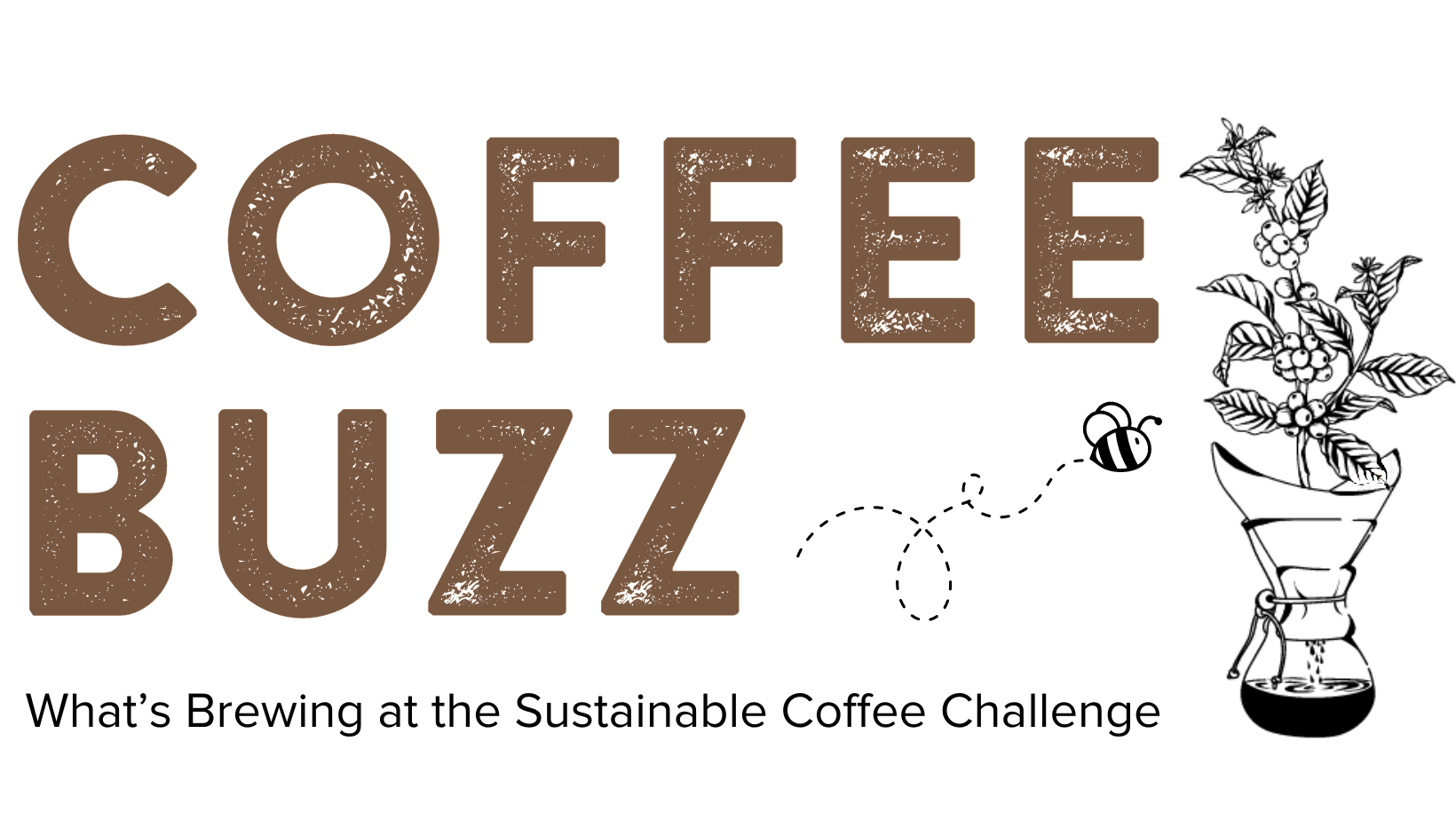 Возвращение Инициативы устойчивого развития кофе с ключевыми инициативами и глобальными событиями