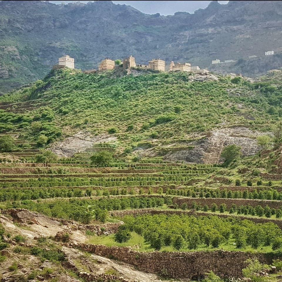 Путешествие ароматов кофе: от почвы до чашки