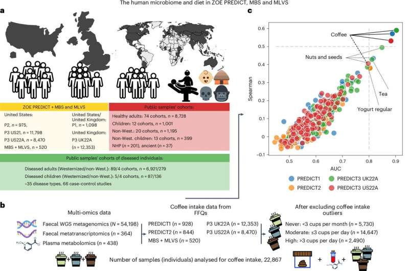 How Do Coffee Drinking Habits Affect the Gut Microbiome? A Recent Study Answers