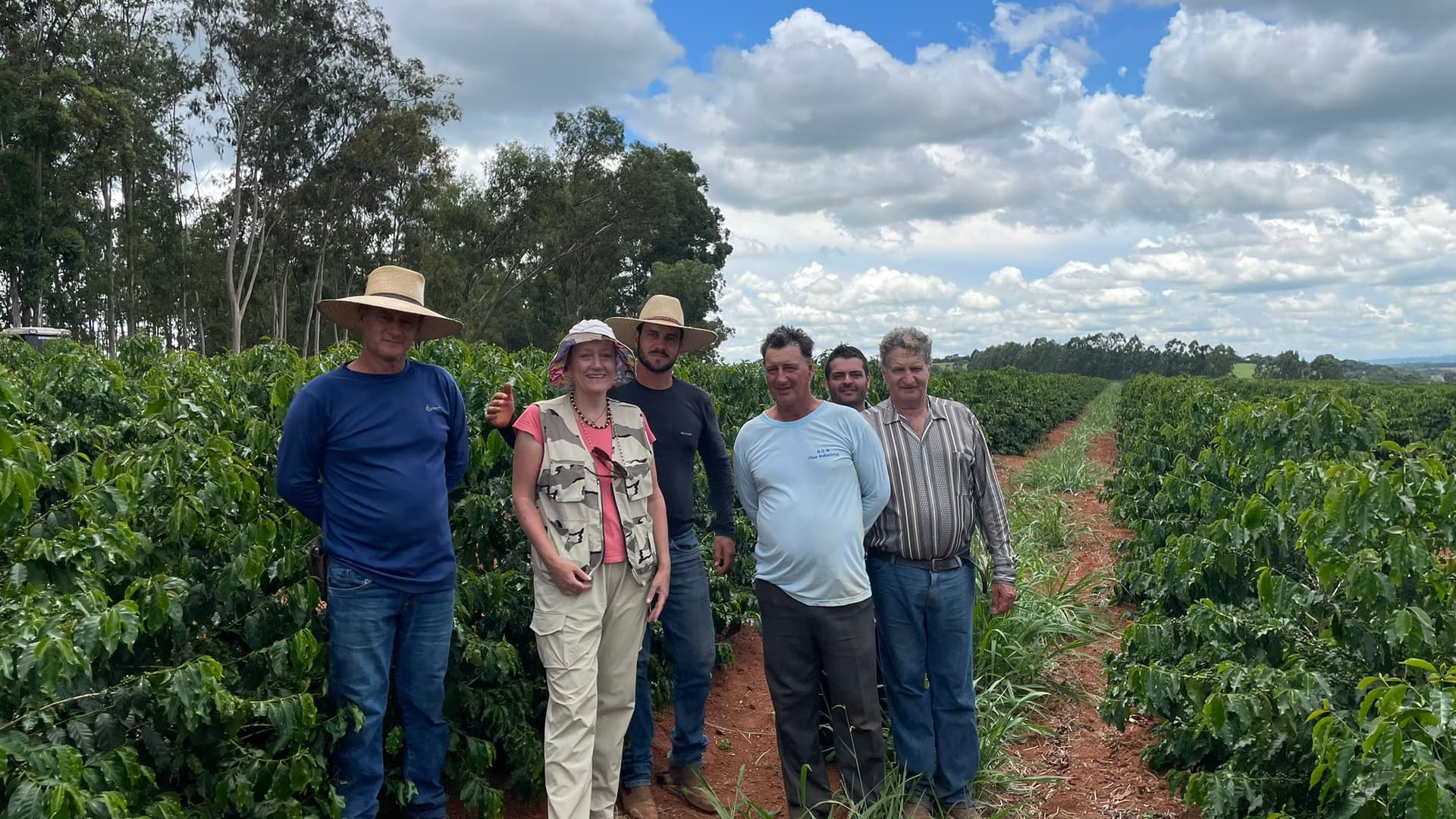 Мир сталкивается с кризисом кофе: урожай арабики в Бразилии в 2025 году может стать самым маленьким за десятилетия