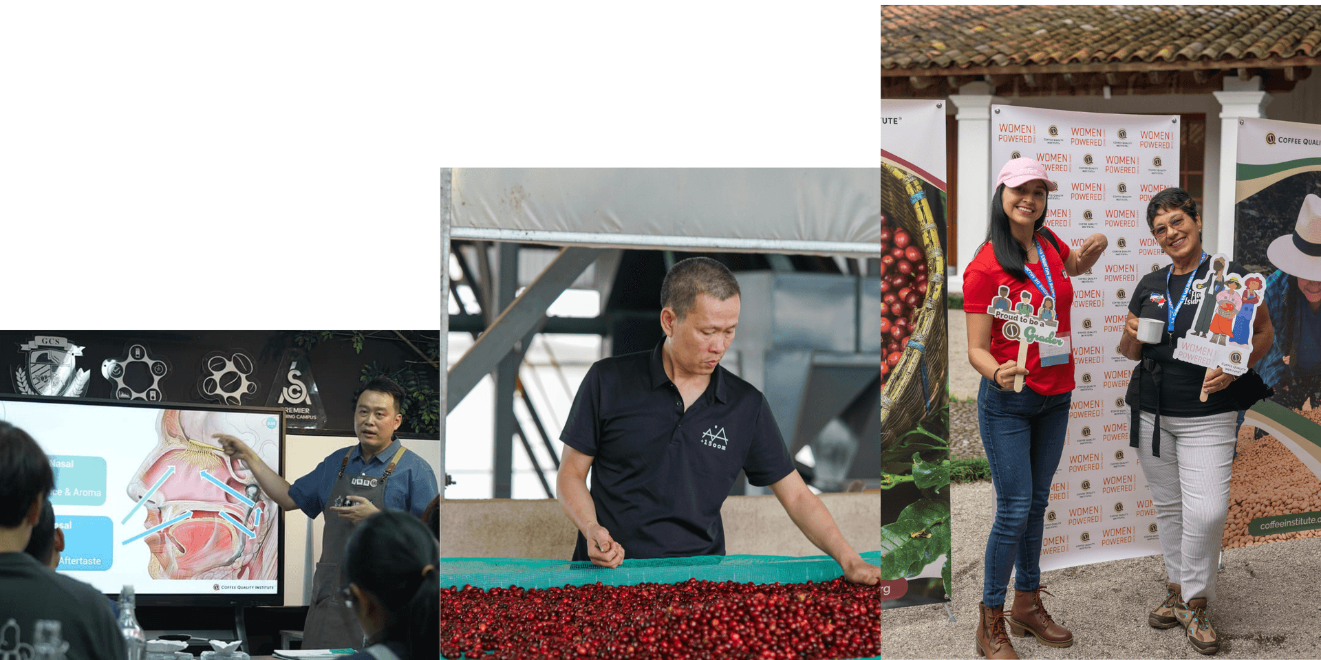 CQI подводит итоги знаменательного года и строит амбициозные планы на 2025 год