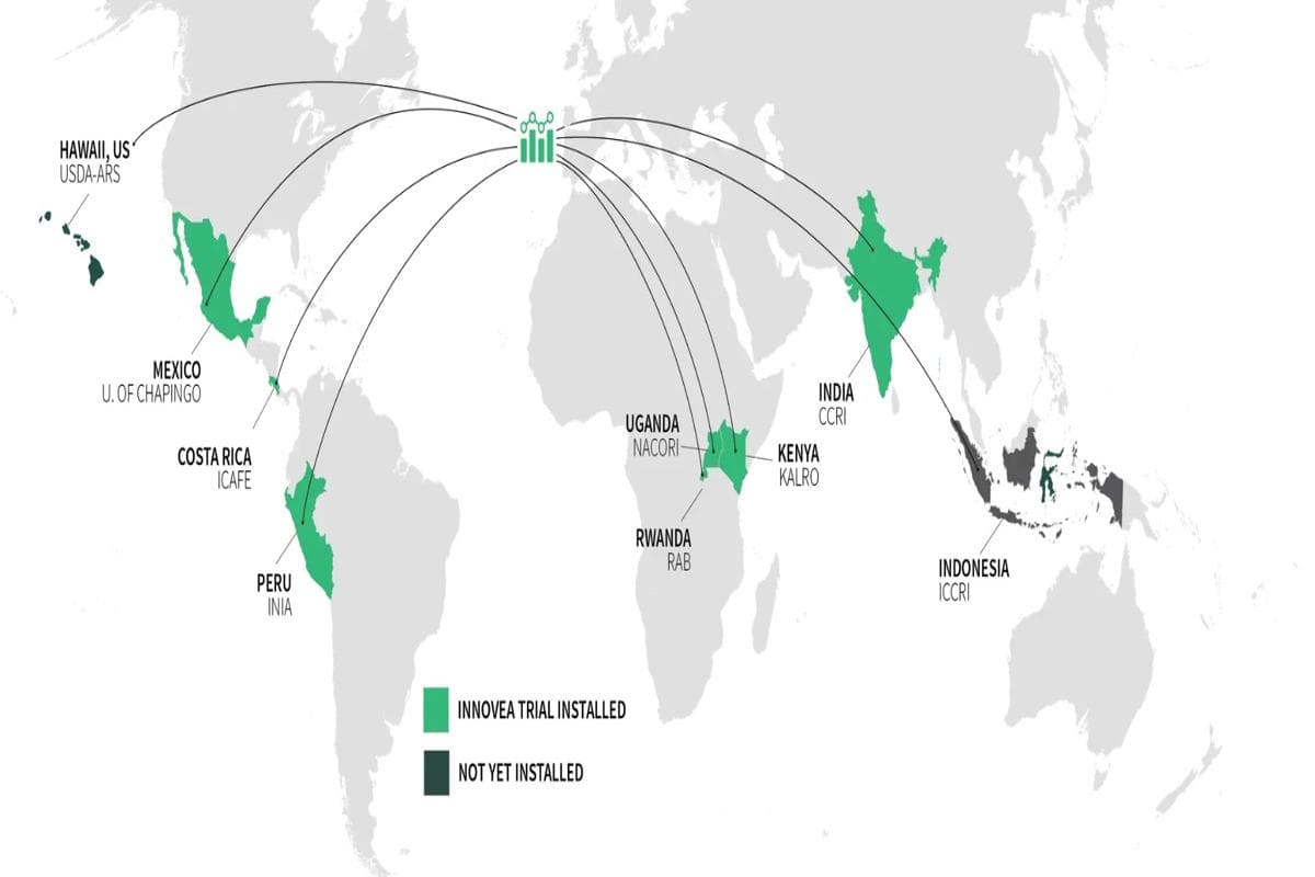 Innovea Global Arabica Trials Advance in Seven Countries, Paving the Way for a New Era in Coffee Breeding