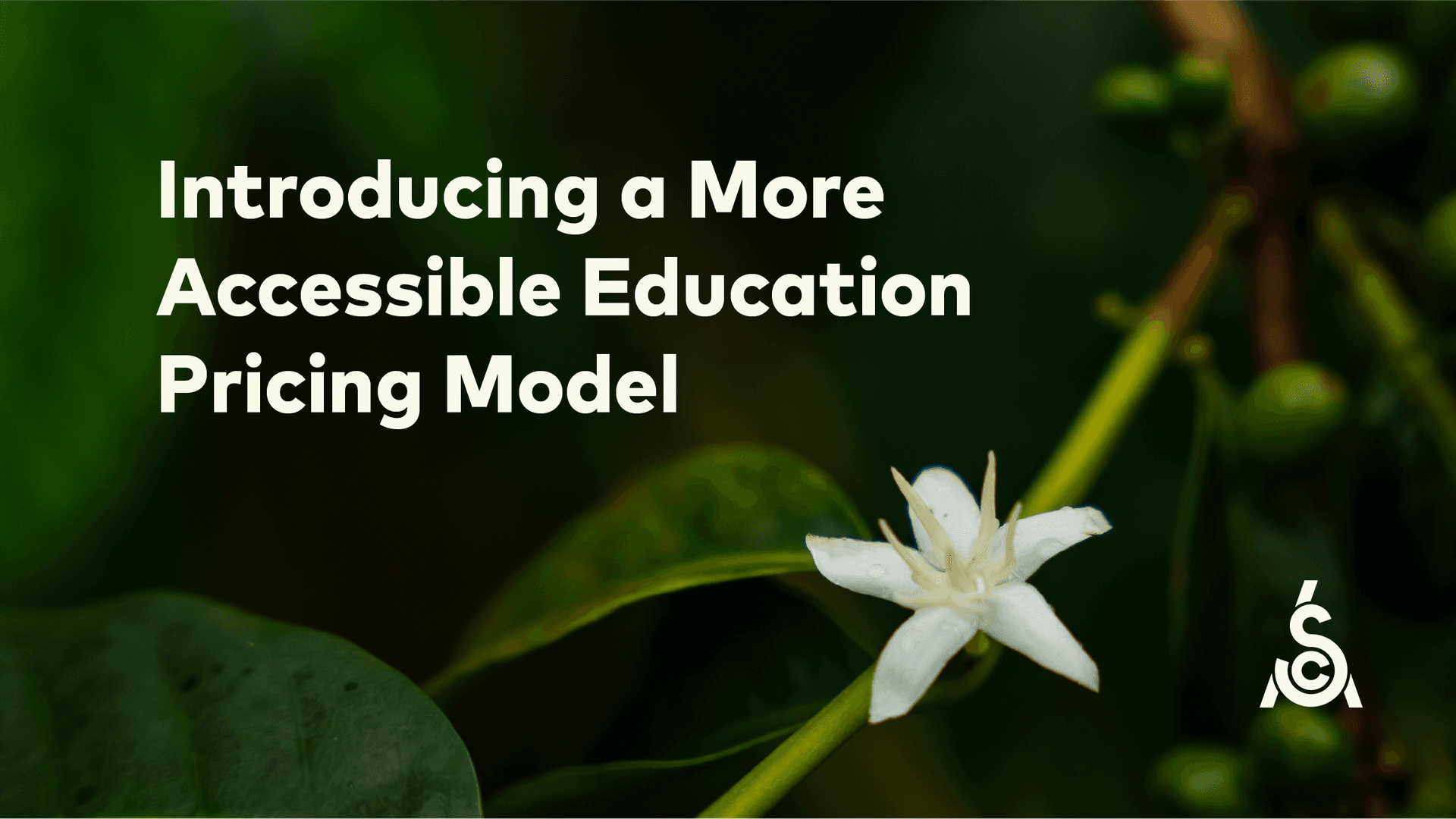 Цены по доходу страны: Ассоциация Спешиалти Кофе меняет правила в обучении кофейных специалистов