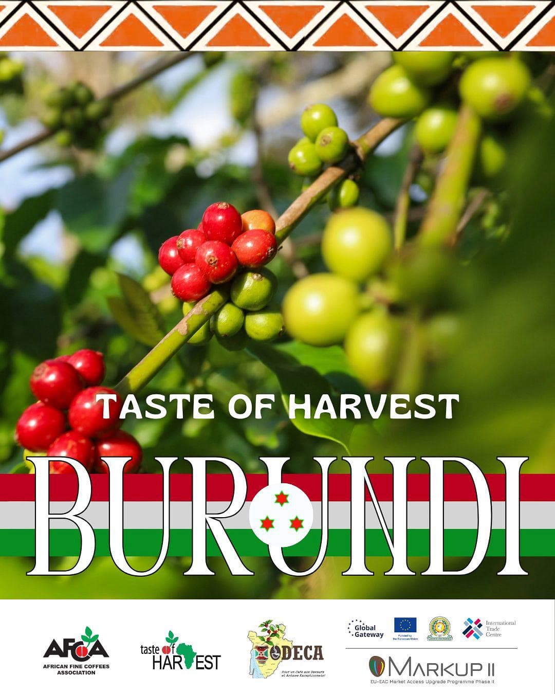 Возвращение конкурса Taste of Harvest в Бурунди 2025–2026