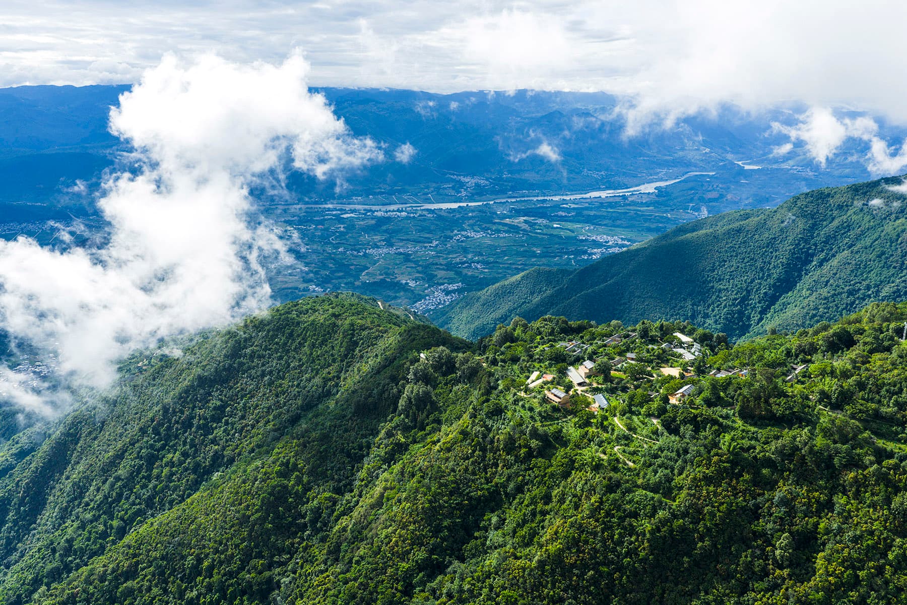 The Mountain That Coffee Brought Back to Life