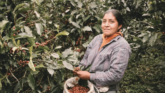 Dignity Before Flavor: Why the First Metric in Coffee Isn’t in the Cup