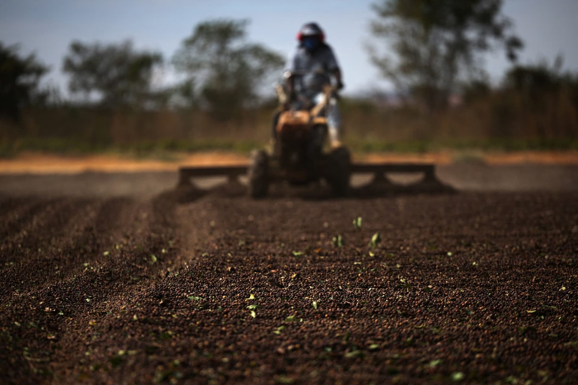 Парадокс кофе в Бразилии: мировые цены падают, а внутренние расходы растут