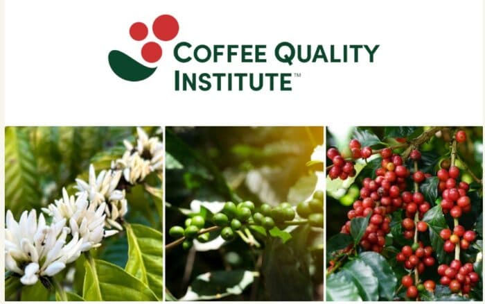 CQI Launches Global Survey to Shape the Future of Coffee Quality