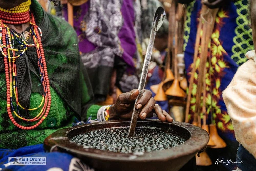 مجلة الباريستا تكشف عن طقس قهوة إثيوبي فريد.. “بونا قَلا”