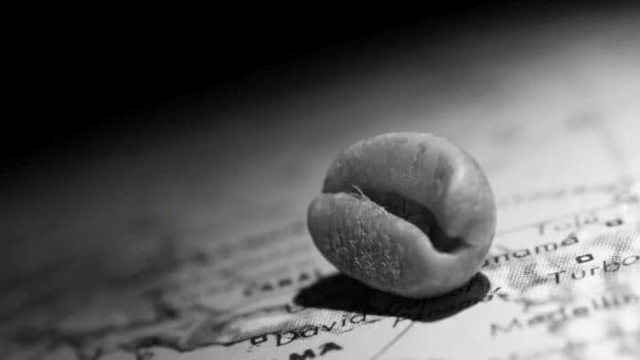 Panama Seeks Global Trademark for “Panama Geisha” as Record Auction Prices Spark New Push for Protection