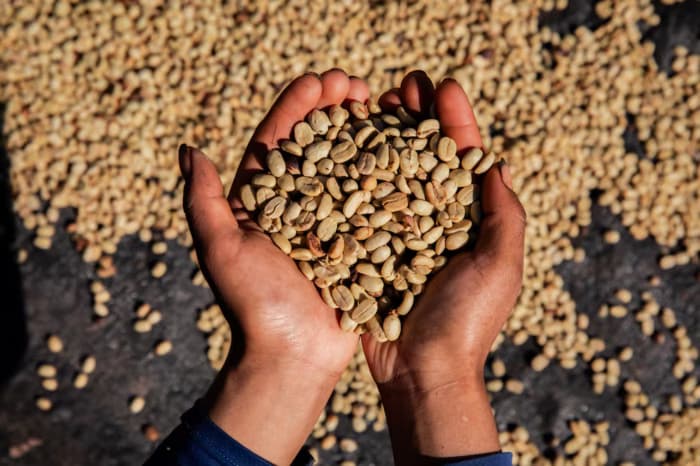 Coffee Prices Rise Amid Brazilian Heatwave and Supply Pressures