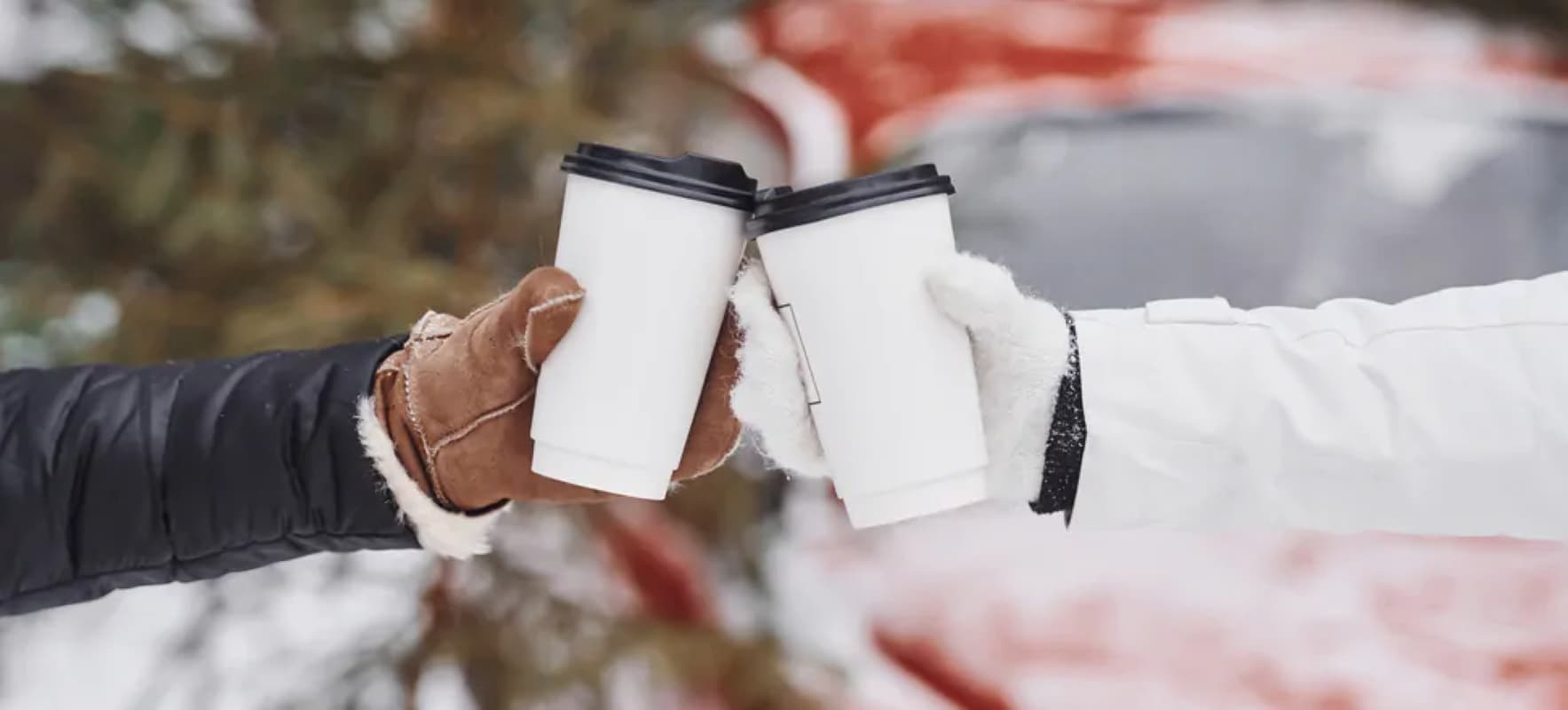 شغف السويديين بالقهوة يتصدر أسباب إزالة غابات الأمازون