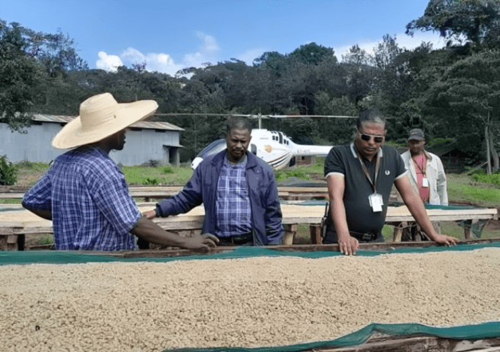 30 Million USD EXPANSION FOR TEPI GREEN COFFEE