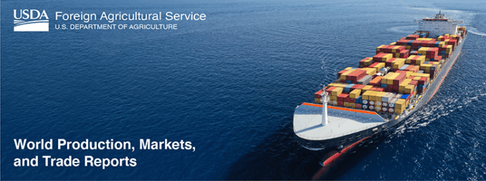 Global Coffee Market: Record Production Amid Supply Challenges