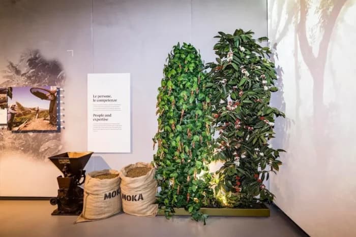 متحف لافازّا في تورينو.. رحلة عبر تاريخ القهوة الإيطالية