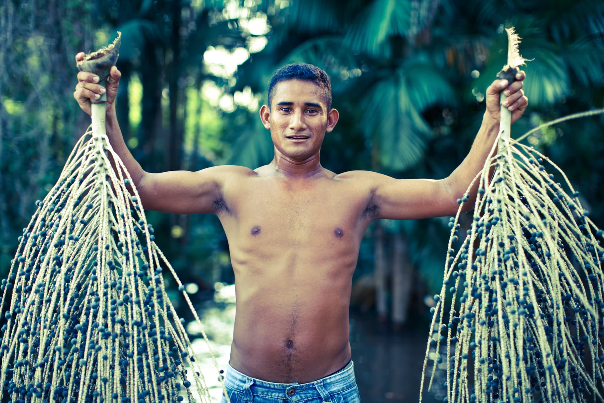 SAMBAZON приносит органический асаи в Дубай