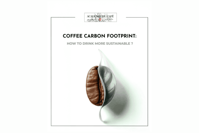 Coffee Carbon Footprint: How Sustainable Is Your Cup?