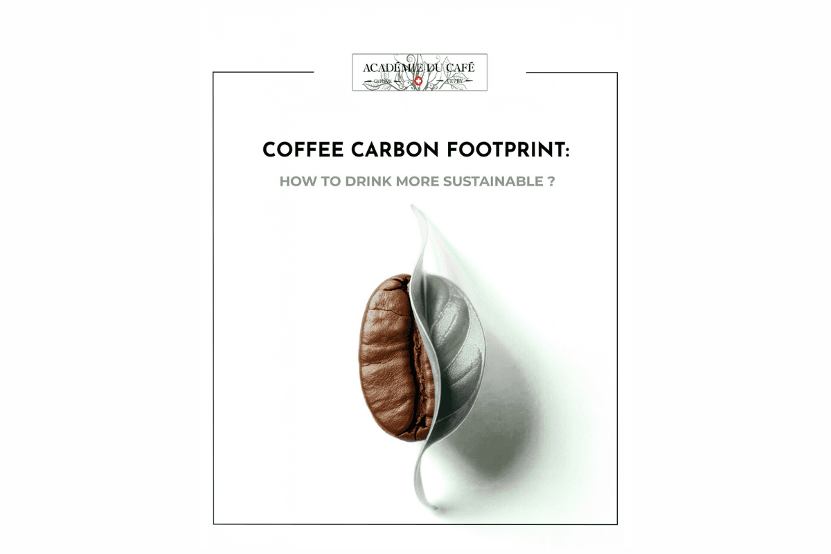 Coffee Carbon Footprint: How Sustainable Is Your Cup?