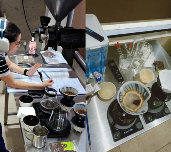 Температура не увеличивает экстракцию,она перестраивает чашку