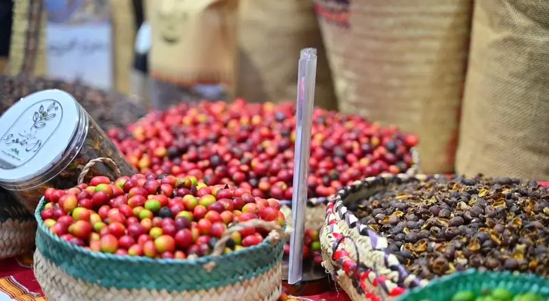 Saudi Arabia: 1.3 Million Coffee Trees Produce More Than 870 Tons Annually