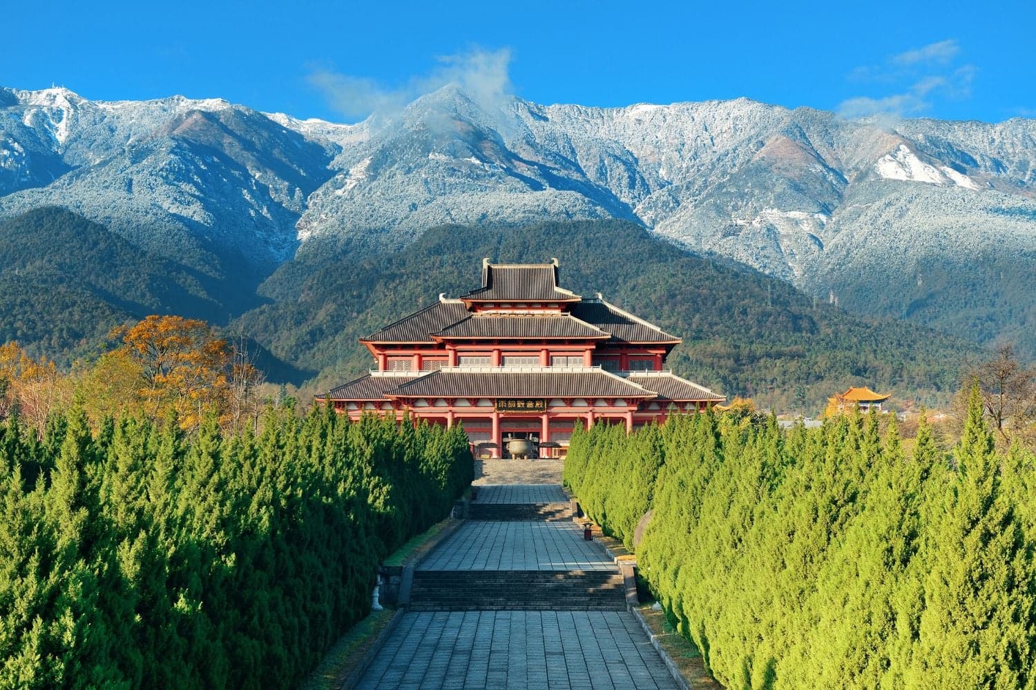 القهوة في الصين.. من “تيروار” يونان إلى ناطحات سحاب شنغهاي