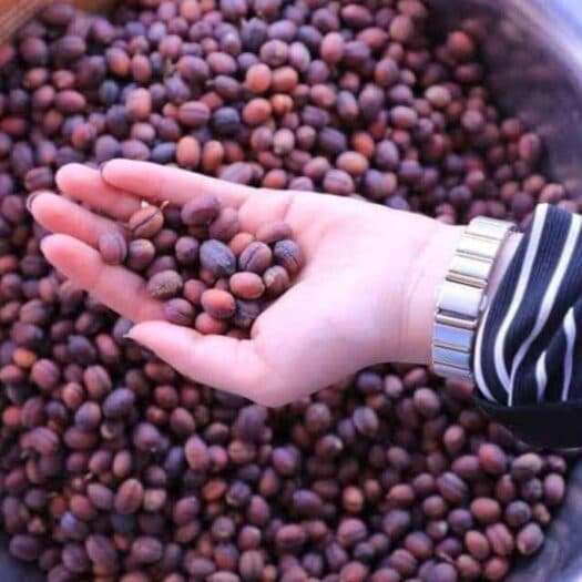 Coffee Markets Rise Amid Middle East Shipping Disruptions