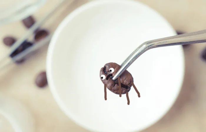 AI and Gas Chromatography Identify Coffee Origins