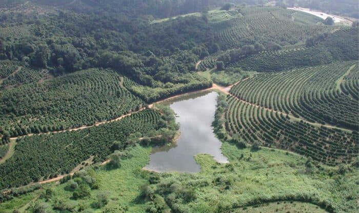 Brazil’s Specialty Coffee Sector Gains Global Momentum