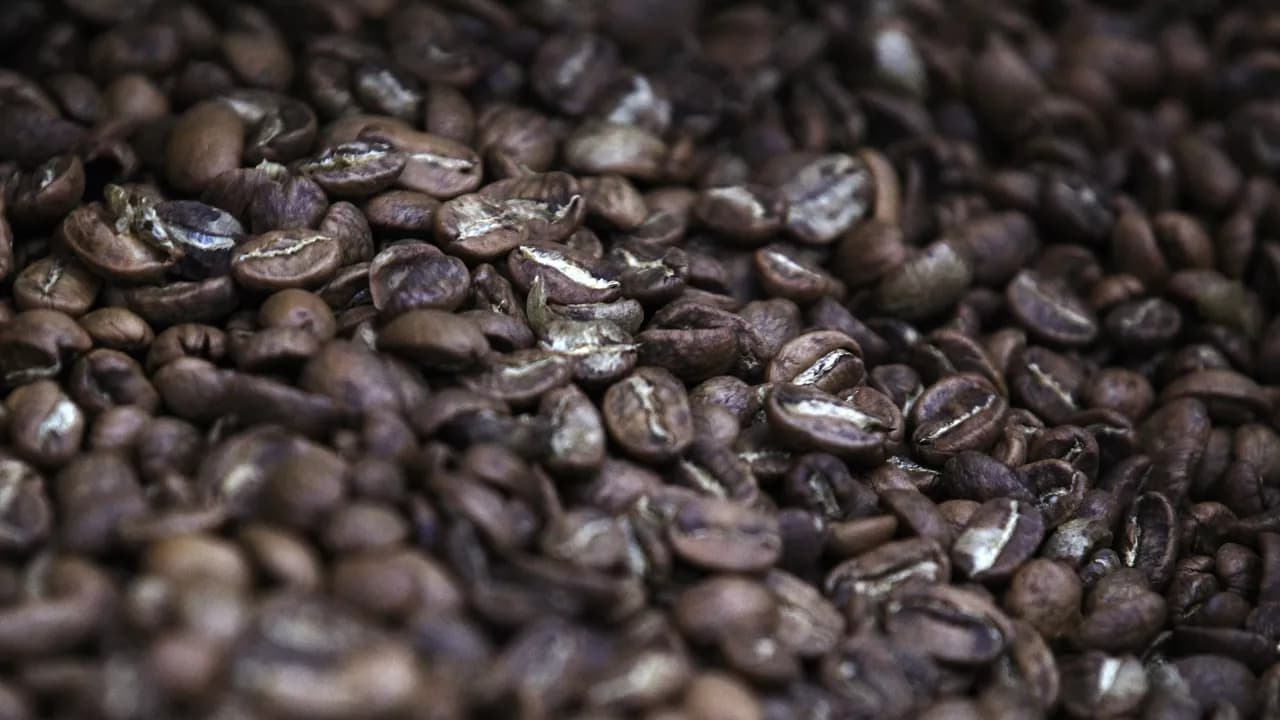 Мировой экспорт кофе вырос на 13,7% | Отчет международной организации