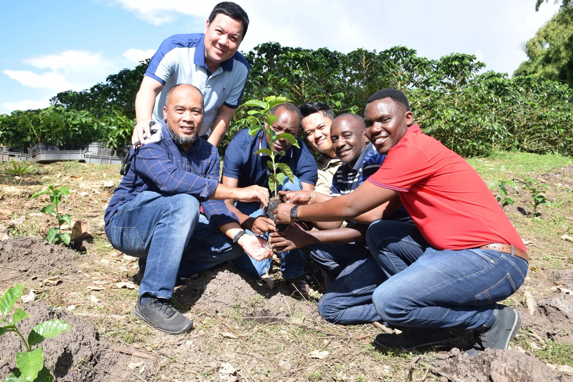 Глобальная дорожная карта генетического улучшения