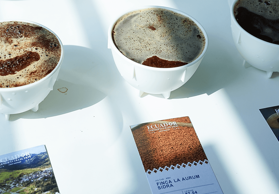 A Record-Breaking Auction in Ecuador Reveals Shifts in the Coffee Market