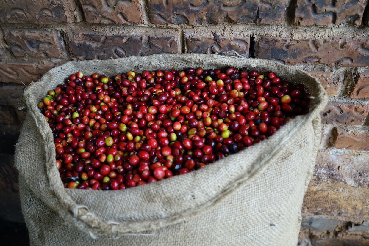 Coffee Prices Rise Amid Supply Concerns and Shipping Disruptions