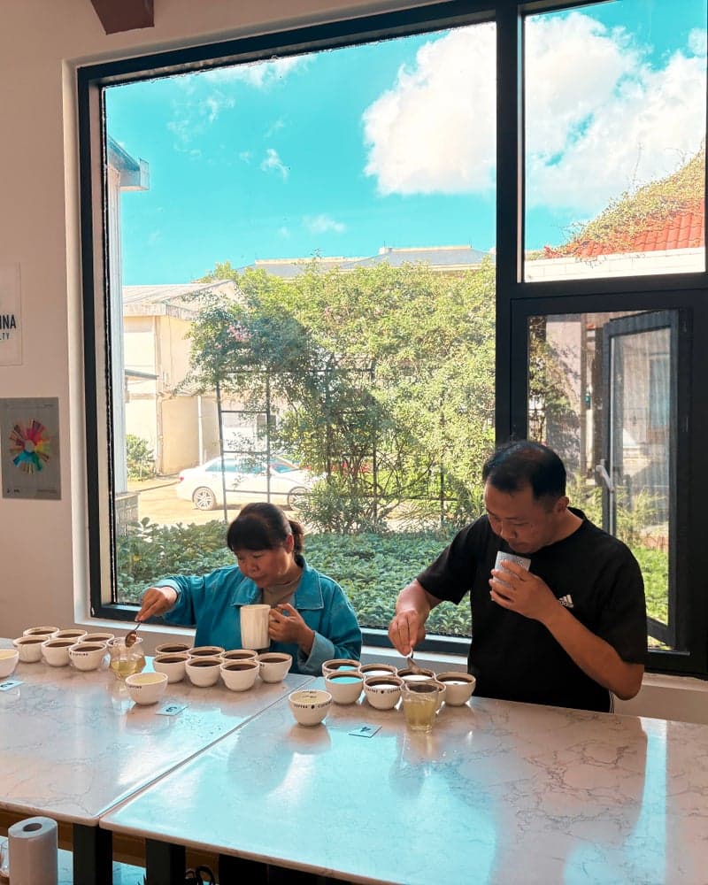 Asia-Pacific Coffee Consumption Trends Report