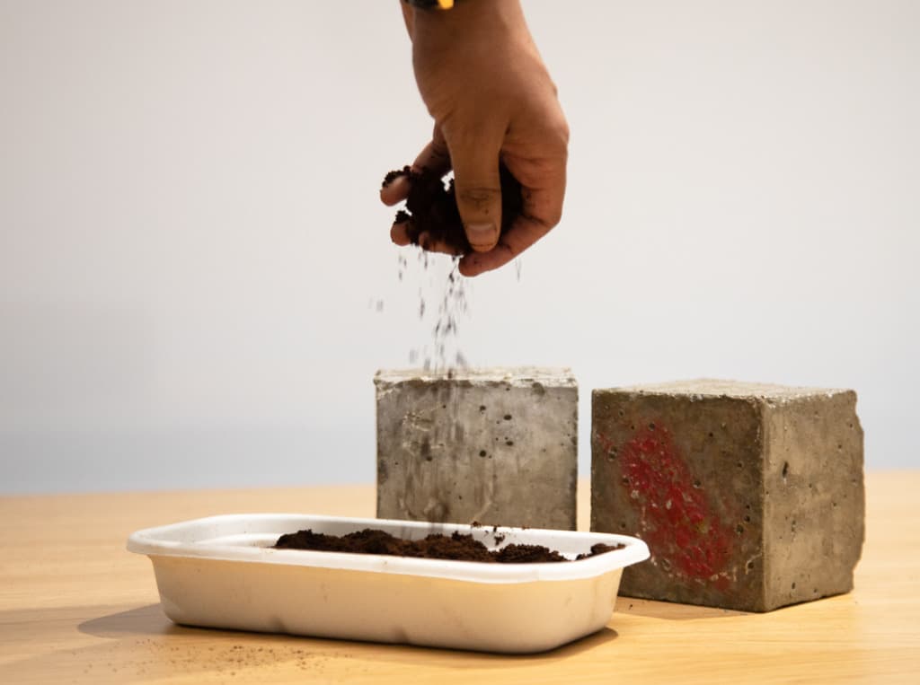 From Cup to Concrete: How Coffee Waste Is Building a Greener Future