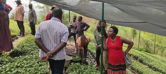 رحلة في موسم أرابيكا أوغندا 2026