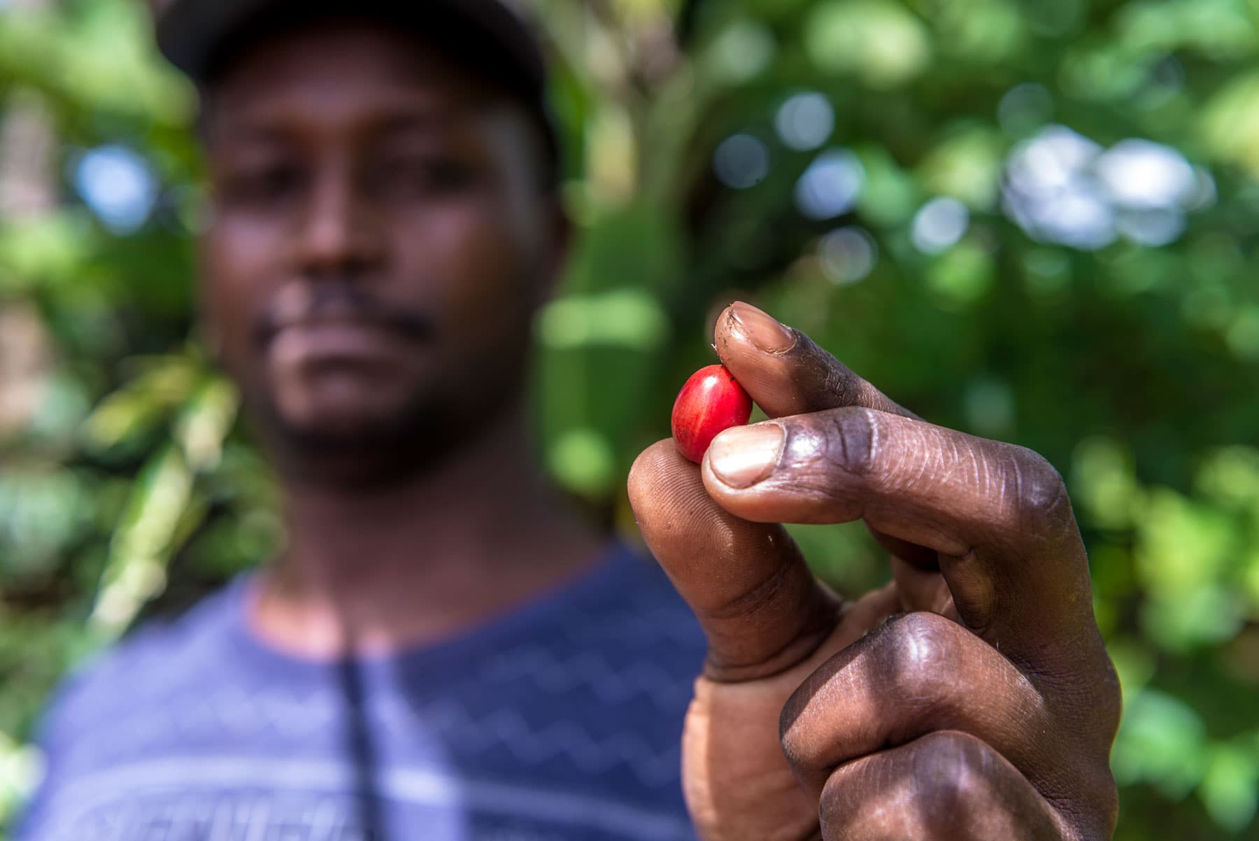 GCP Launches 2026 Review of Coffee Sustainability Framework and Equivalence Mechanism