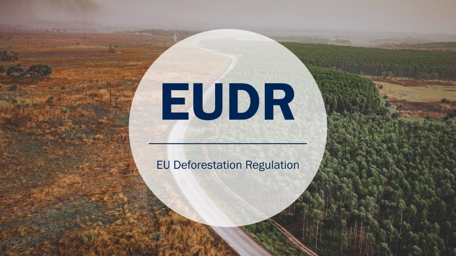 European Commission Simplifies Deforestation Regulation.. What’s New?