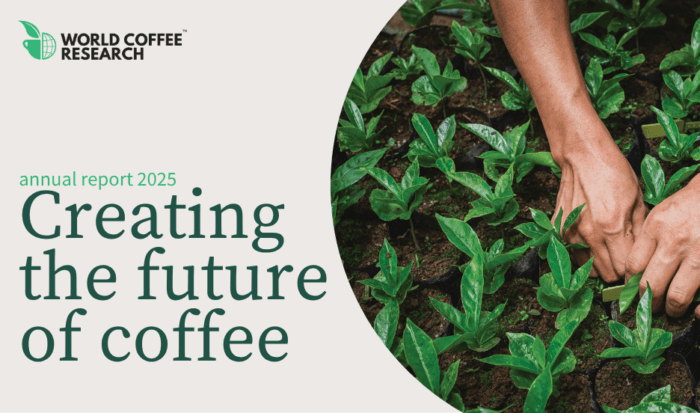 World Coffee Research releases 2025 annual report