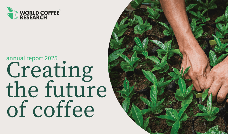World Coffee Research releases 2025 annual report