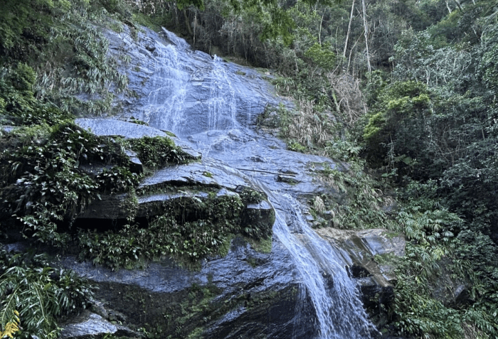 The Memory of Stone: Why Water Chemistry Defines Your Coffee