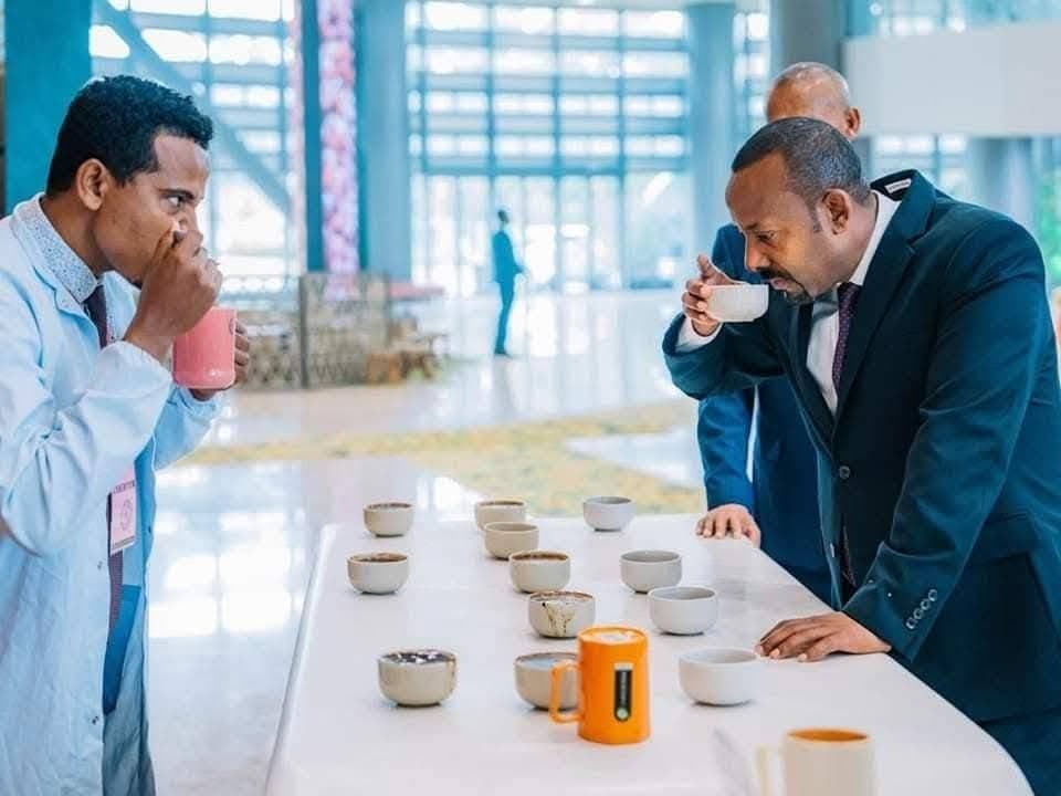 Ethiopia Coffee Revenue Tops 3 Billion