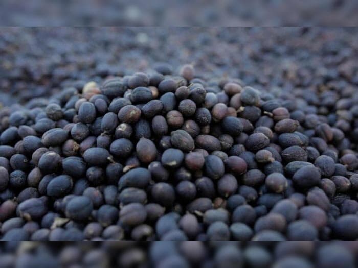 Что такое 5-я волна кофе?